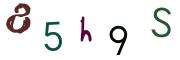 Vaizdinė CAPTCHA užduotis