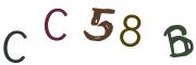 Vaizdinė CAPTCHA užduotis