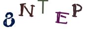 Vaizdinė CAPTCHA užduotis