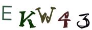 Vaizdinė CAPTCHA užduotis