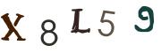Vaizdinė CAPTCHA užduotis