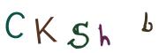 Vaizdinė CAPTCHA užduotis