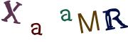 Vaizdinė CAPTCHA užduotis