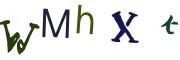 Vaizdinė CAPTCHA užduotis
